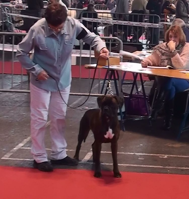 de la Deesse Hera - Amiens, le 2 mai 2015.