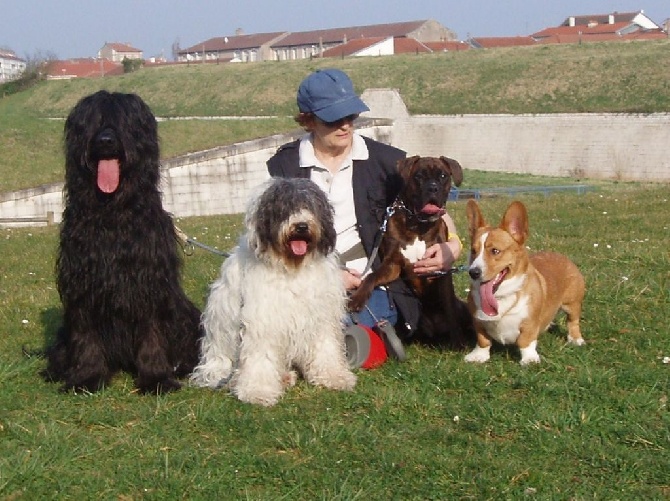 de la Deesse Hera - Photo de famille