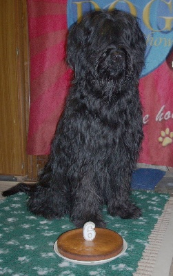 de la Deesse Hera - Campos 6 ANS