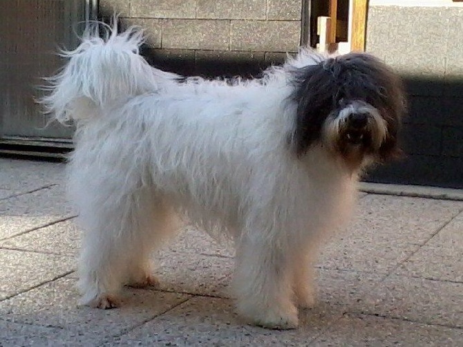de la Deesse Hera - GUS