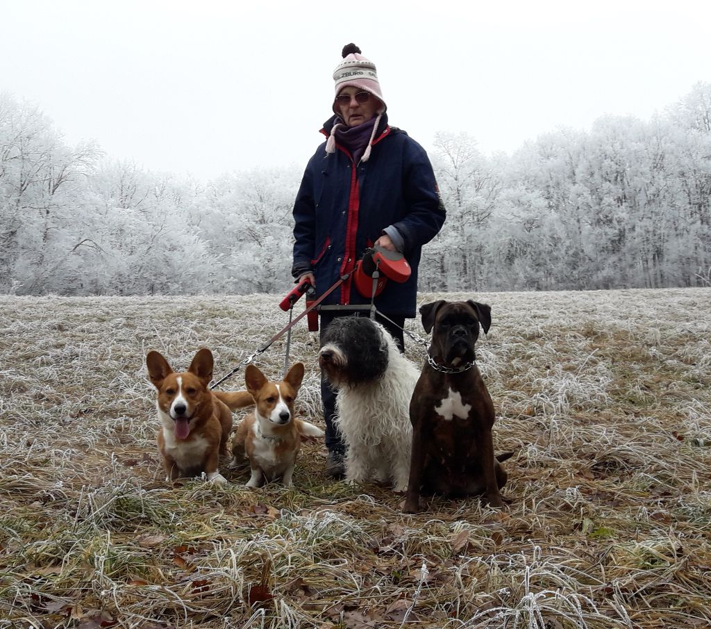 de la Deesse Hera - ballade d'hiver en groupe