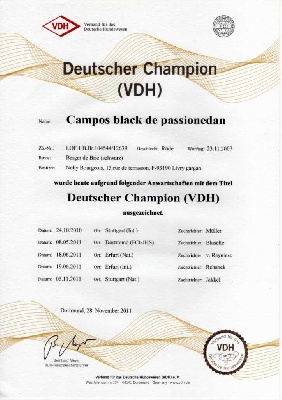 de la Deesse Hera - CHAMPION d'ALLEMAGNE VDH homologué