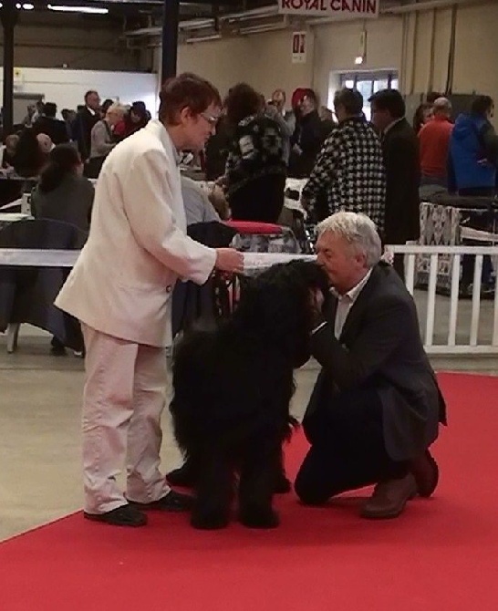 de la Deesse Hera - Paris dog show 12/01/2014